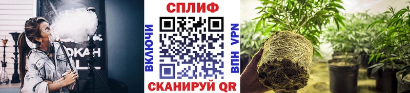 Продажа наркотиков Надым Альфа ПВП блэк спрут как войти Мефедрон Канабис КОКАИН