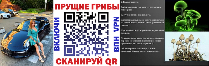 где купить   Надым  Псилоцибиновые грибы ЛСД 